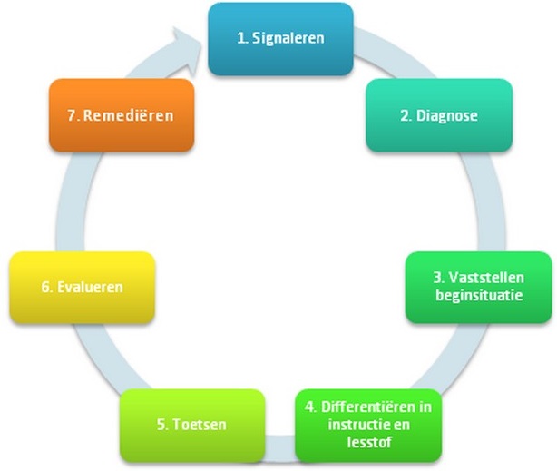differentiatie-cyclus